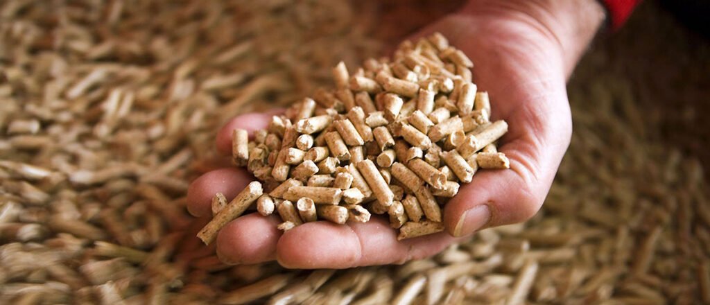 Pellets-de-madeira-industrial.jpg Pellets-de-madeira-industrial.jpg